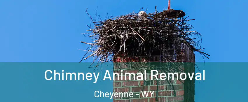 Chimney Animal Removal Cheyenne - WY