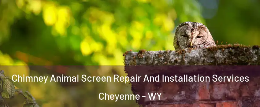  Chimney Animal Screen Repair And Installation Services Cheyenne - WY