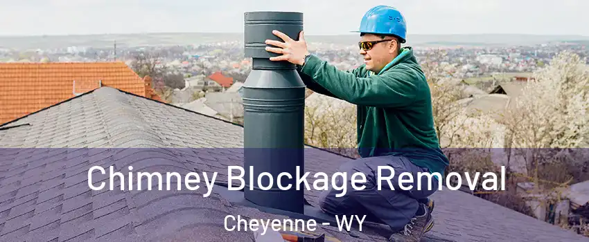  Chimney Blockage Removal Cheyenne - WY