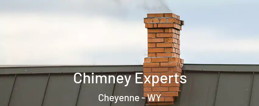 Chimney Experts Cheyenne - WY