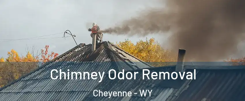  Chimney Odor Removal Cheyenne - WY