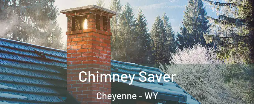  Chimney Saver Cheyenne - WY