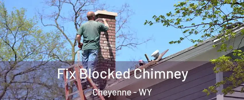  Fix Blocked Chimney Cheyenne - WY