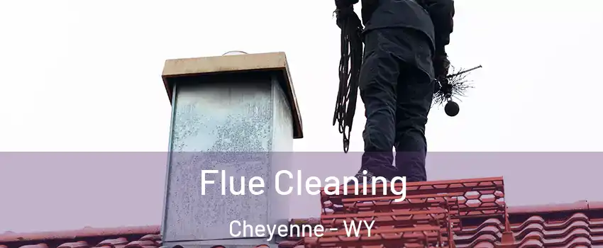  Flue Cleaning Cheyenne - WY