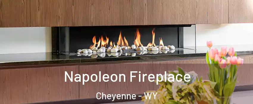  Napoleon Fireplace Cheyenne - WY